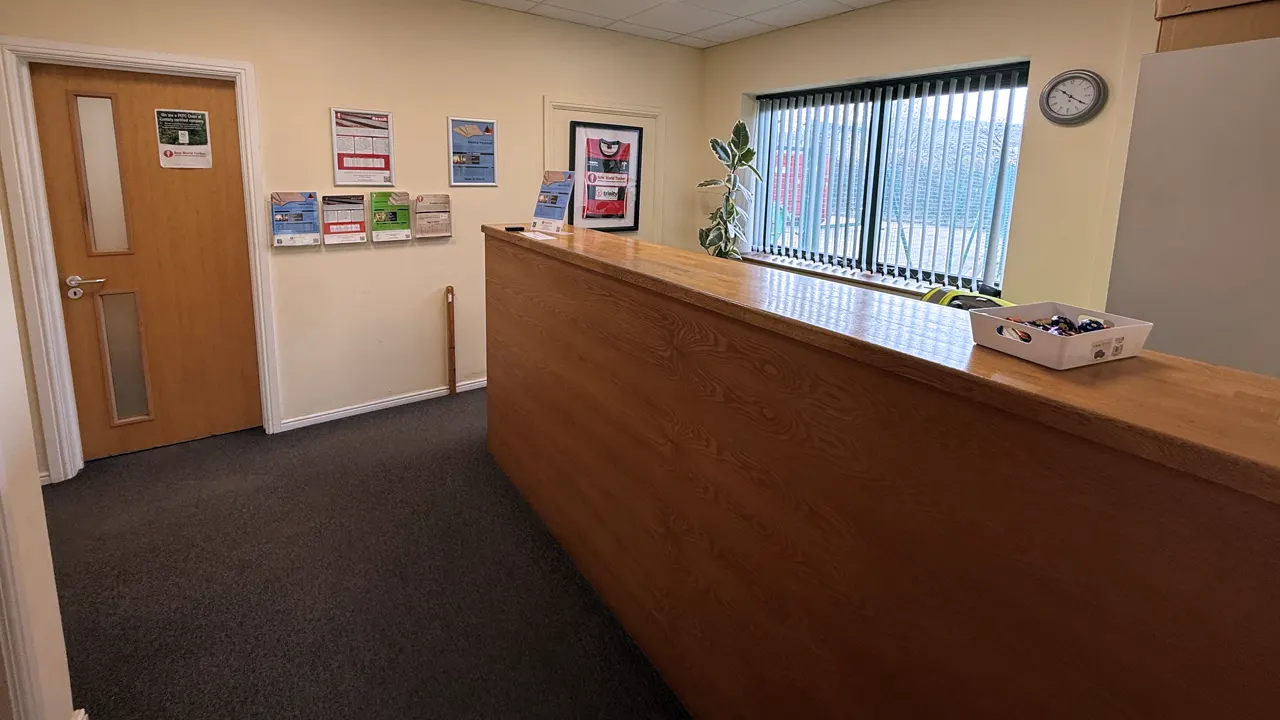 New World Timber