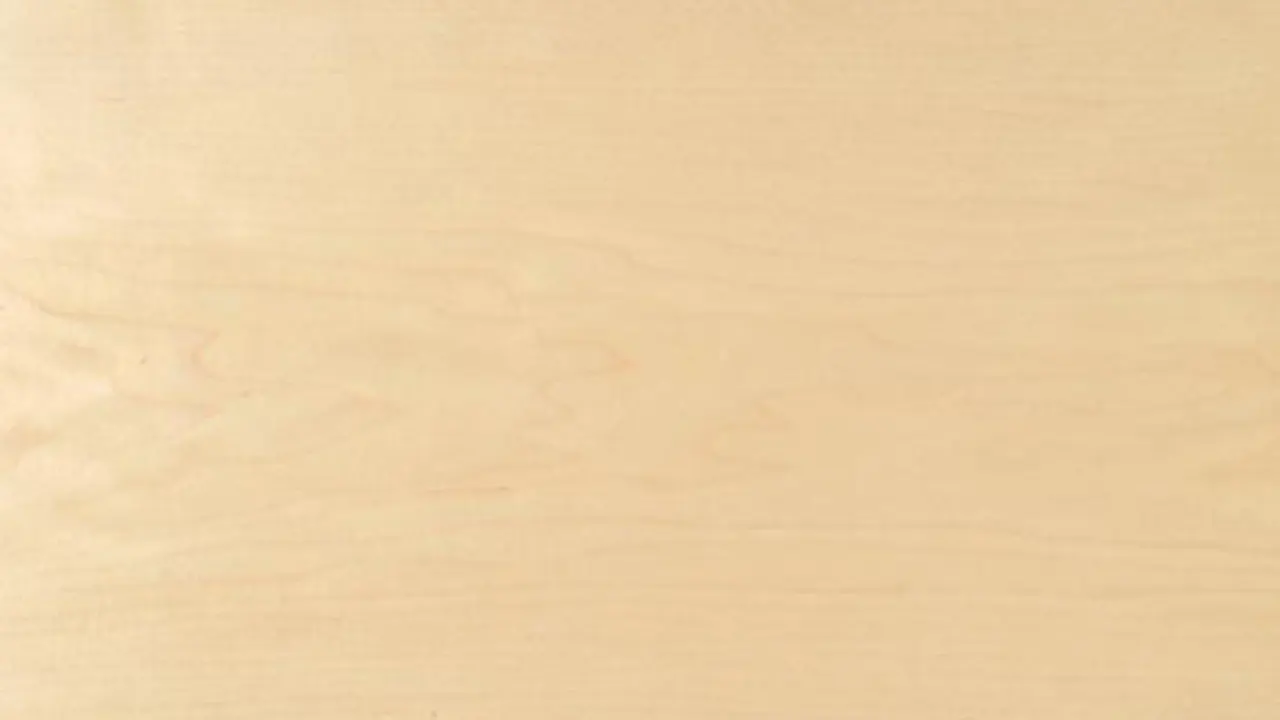 Maple MDF