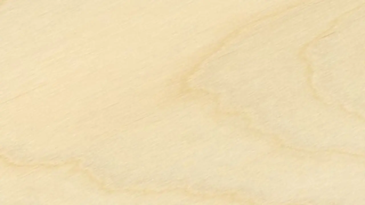 Plywood Birch